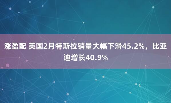 涨盈配 英国2月特斯拉销量大幅下滑45.2%，比亚迪增长40.9%