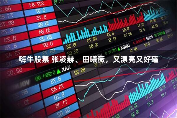 嗨牛股票 张凌赫、田曦薇，又漂亮又好磕