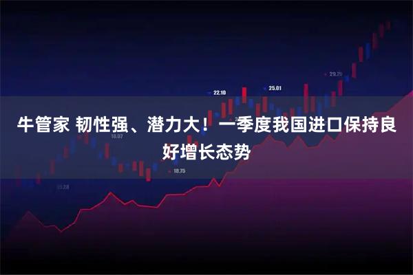 牛管家 韧性强、潜力大！一季度我国进口保持良好增长态势