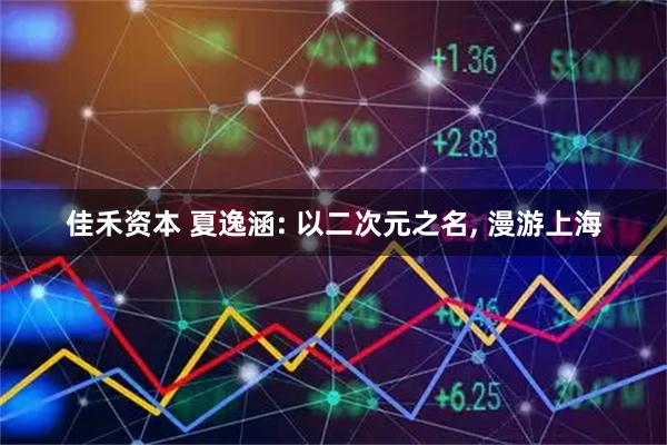 佳禾资本 夏逸涵: 以二次元之名, 漫游上海